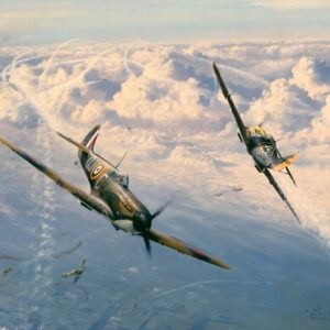 COMBAT OVER LONDON