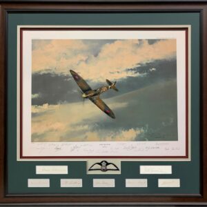 AFTER THE STORM - Sixteen signature multi-signed print - Multi-Signed Collectors Piece Framed