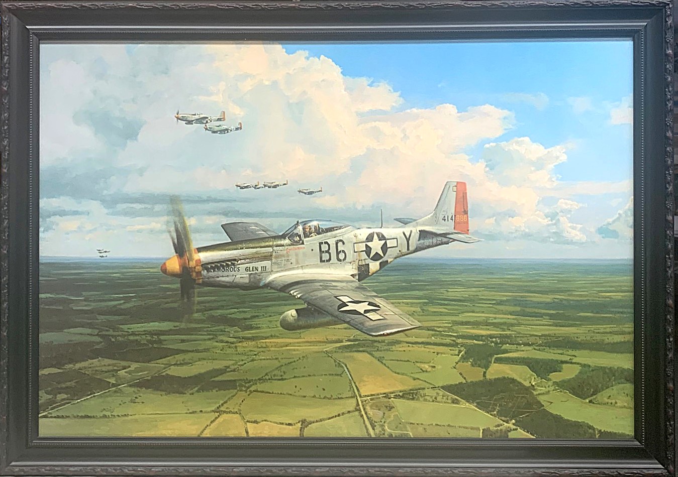 Americn Eagles Framed Giclee on canvas