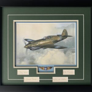 Flying Tigers by Darryl Legg Original Painting - Original Painting