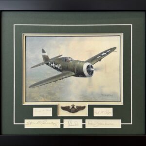 P-47 Thunderbolt Don Blakeslee by Darryl Legg Original Painting