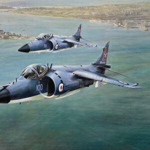 SEA HARRIER