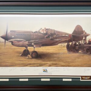 Shark Sighting by John Shaw - Framed Collector's Piece
